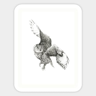 flying owl Sticker